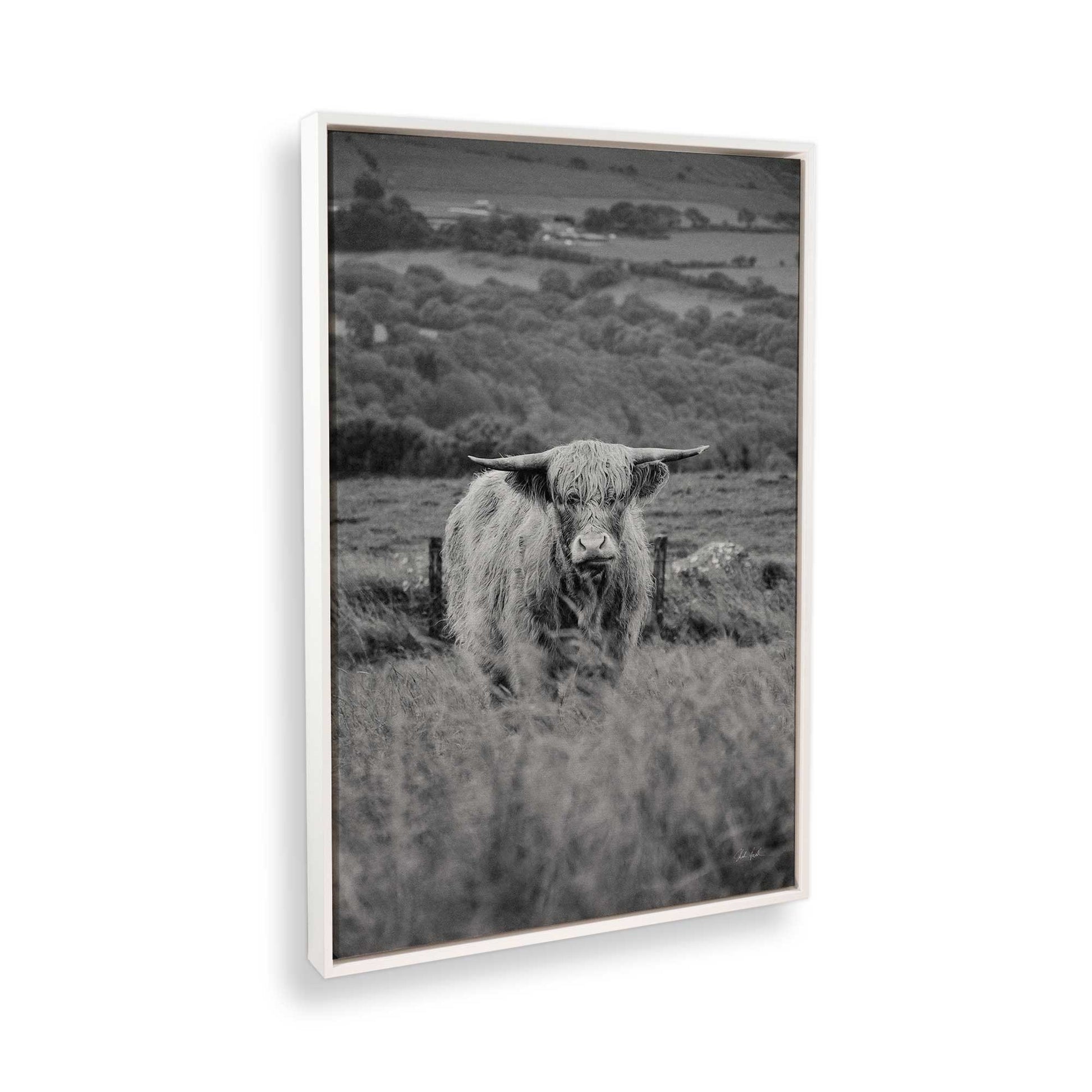 [Color:Opaque White], Picture of the corner of the art