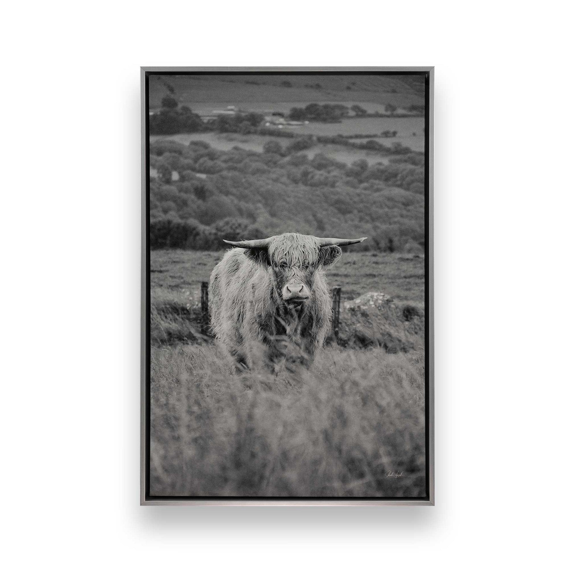 [Color:Polished Chrome], Picture of art in a Polished Chrome frame