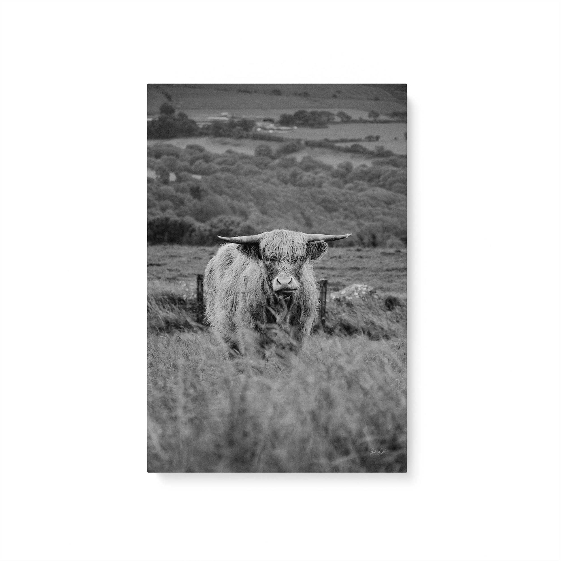 [Color:Stretched Canvas], Picture of art