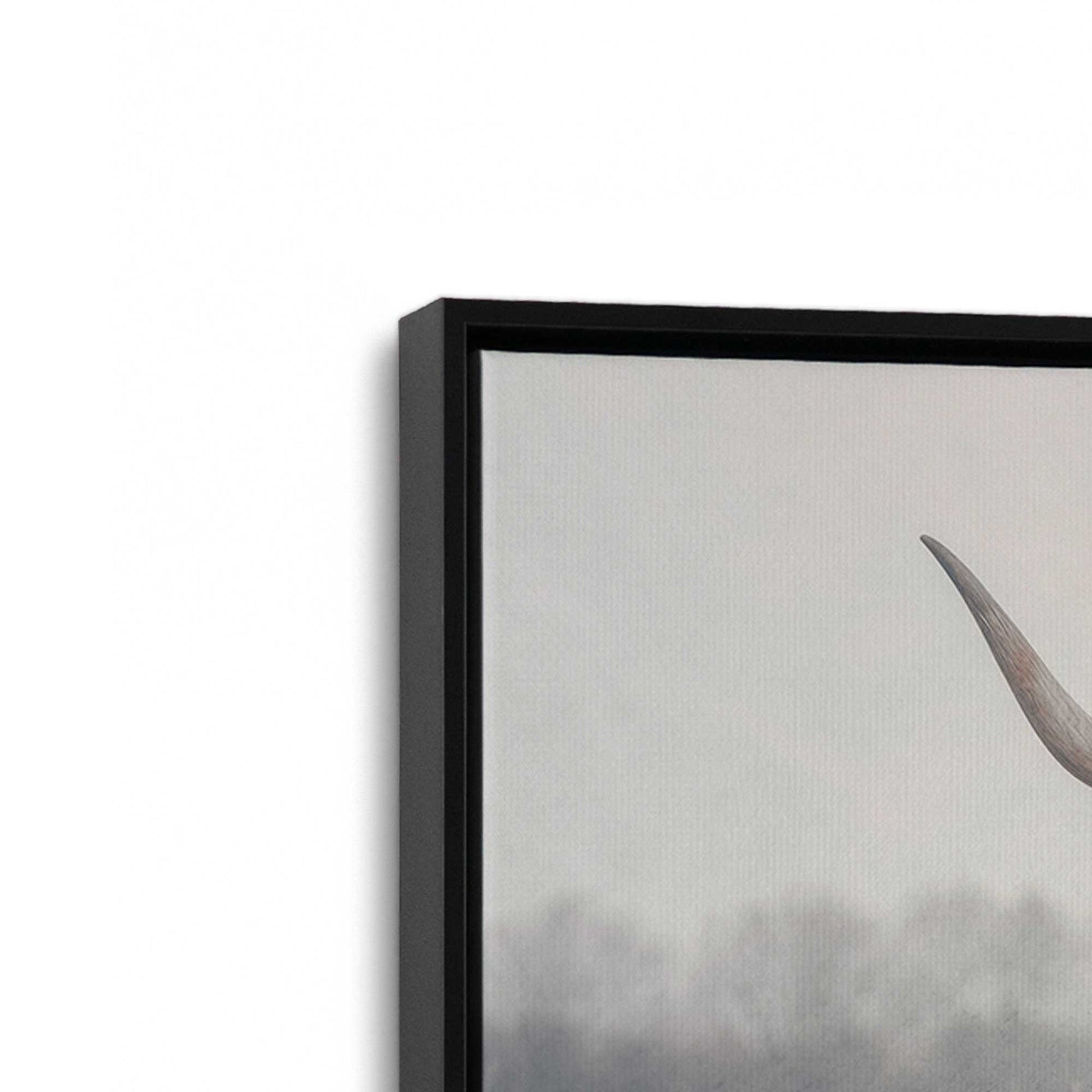 [Color:Satin Black], Picture of art in a Satin Black frame at an angle