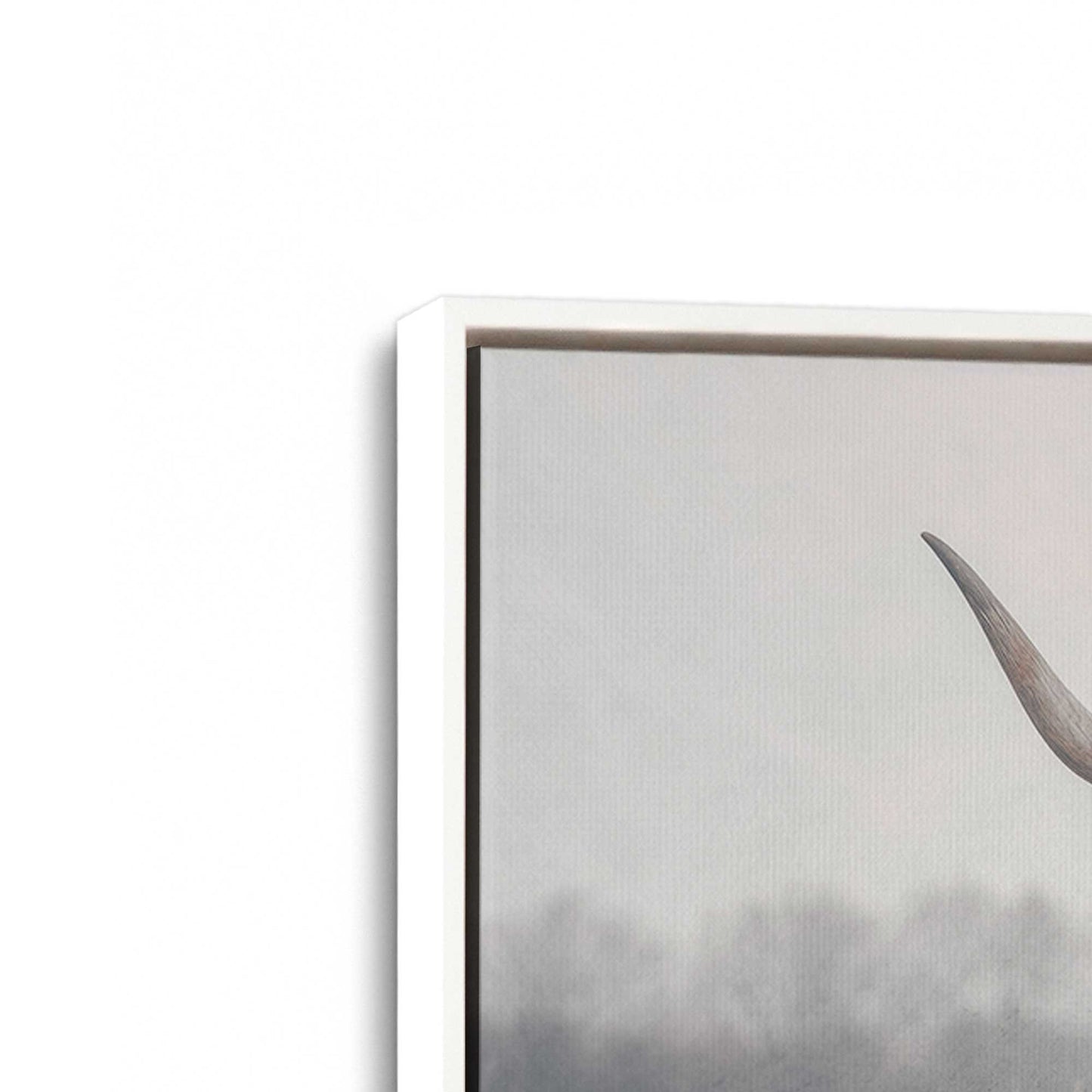 [Color:Opaque White], Picture of art in a White frame at an angle