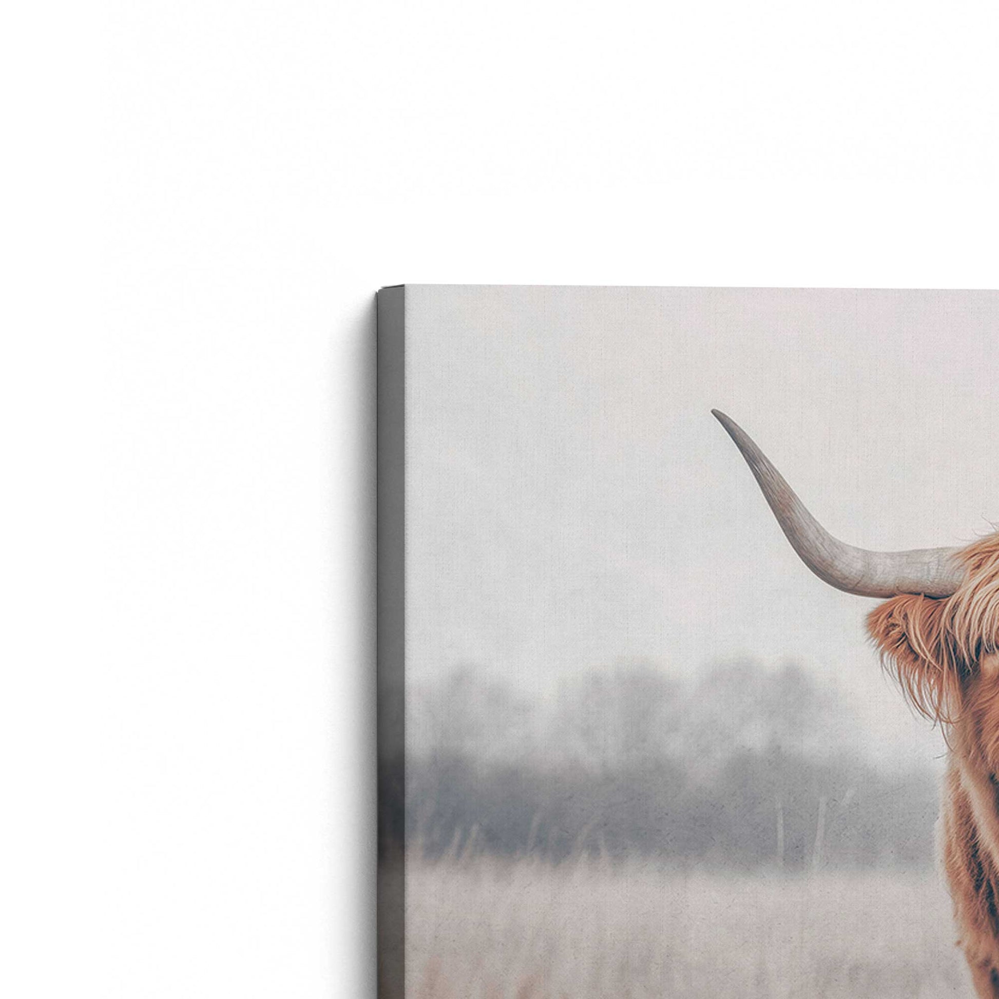 [Color:Stretched Canvas], Picture of the corner of the art