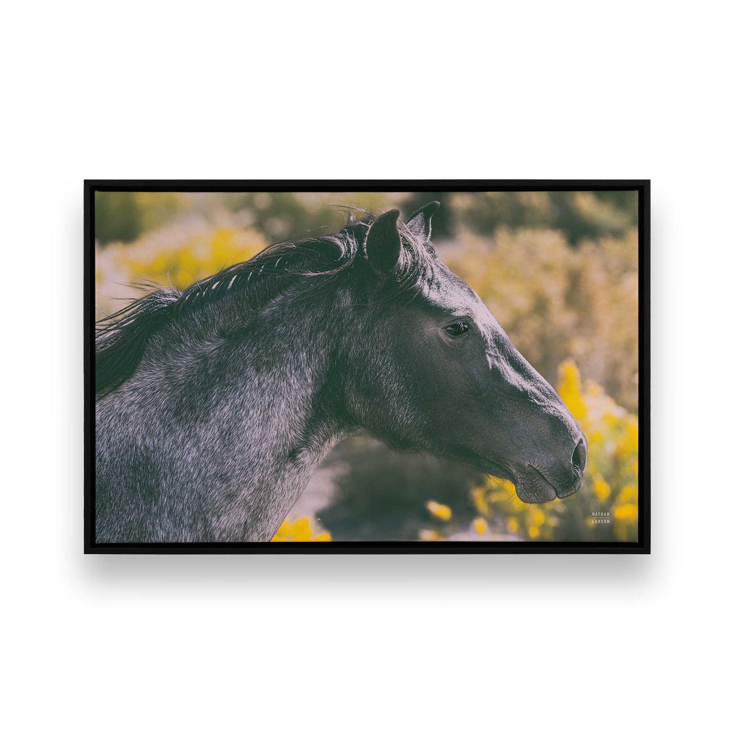 [Color:Satin Black], Picture of art in a Satin Black frame