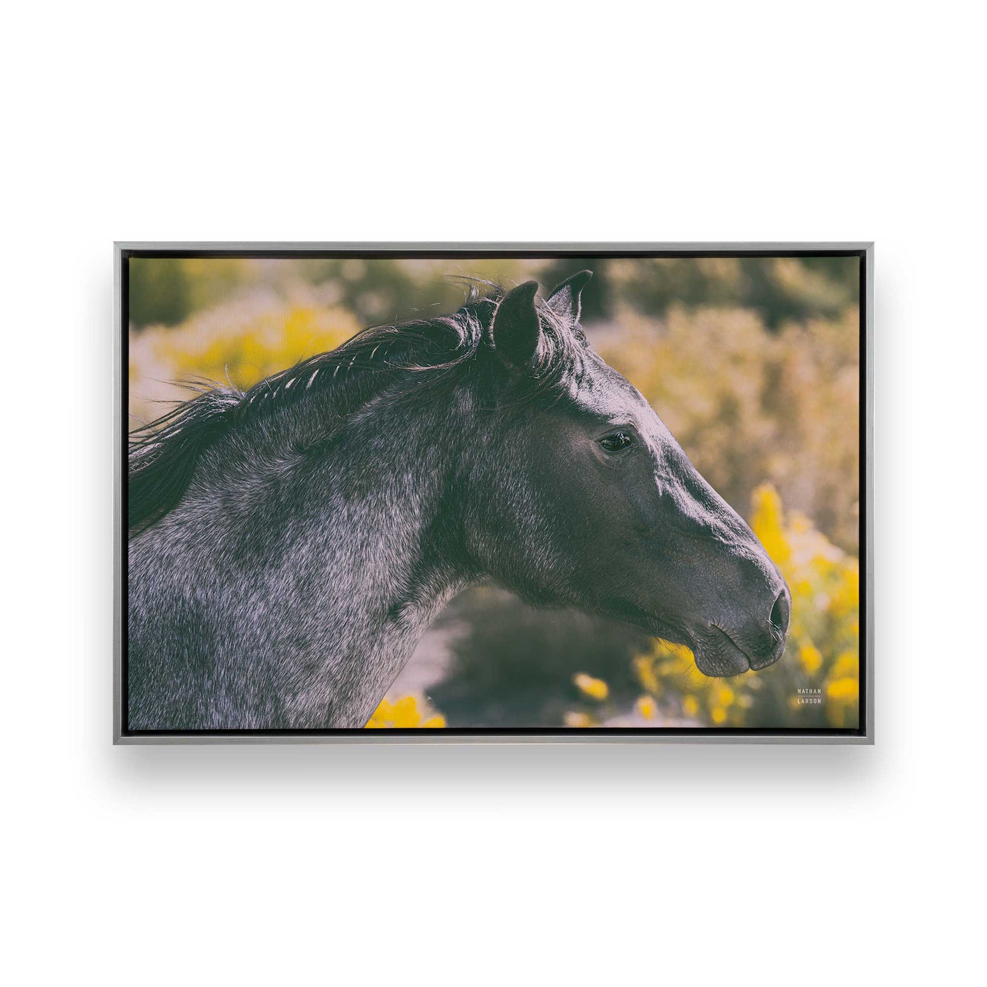[Color:Polished Chrome], Picture of art in a Polished Chrome frame