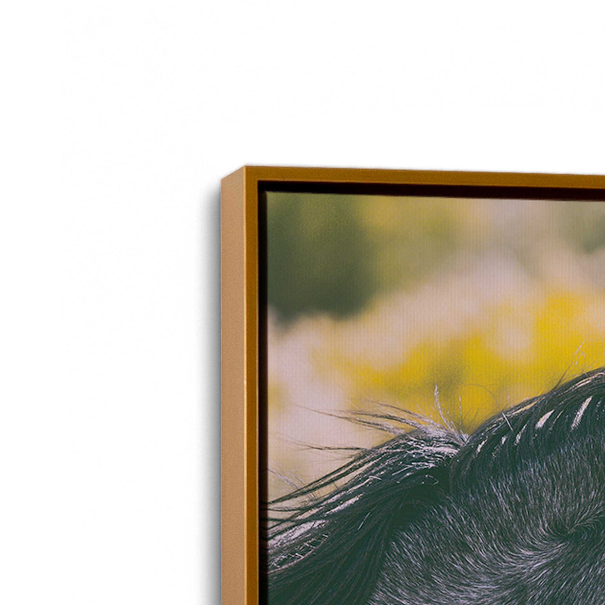 [Color:Polished Gold], Picture of art in a Polished Gold frame at an angle