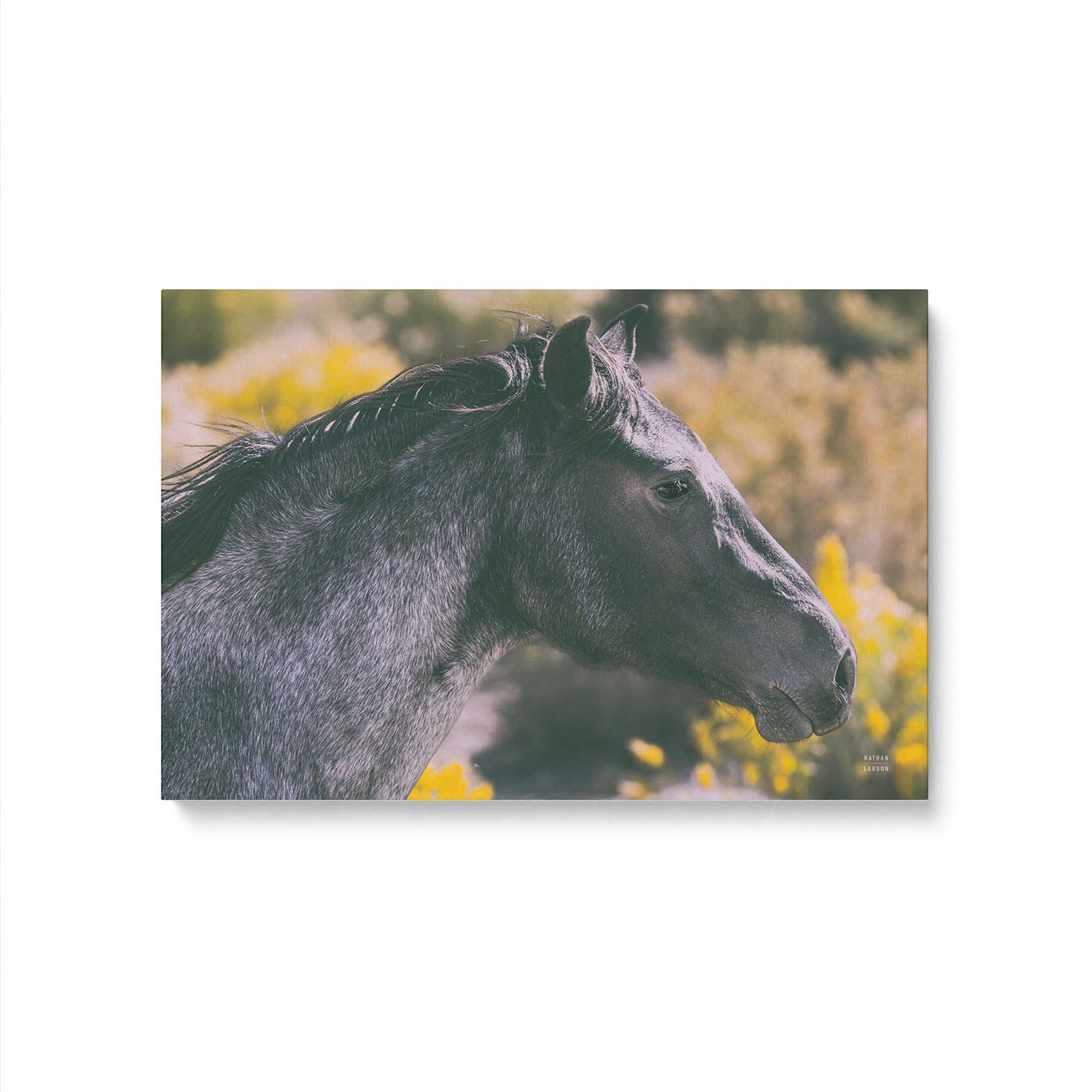 [Color:Stretched Canvas], Picture of art