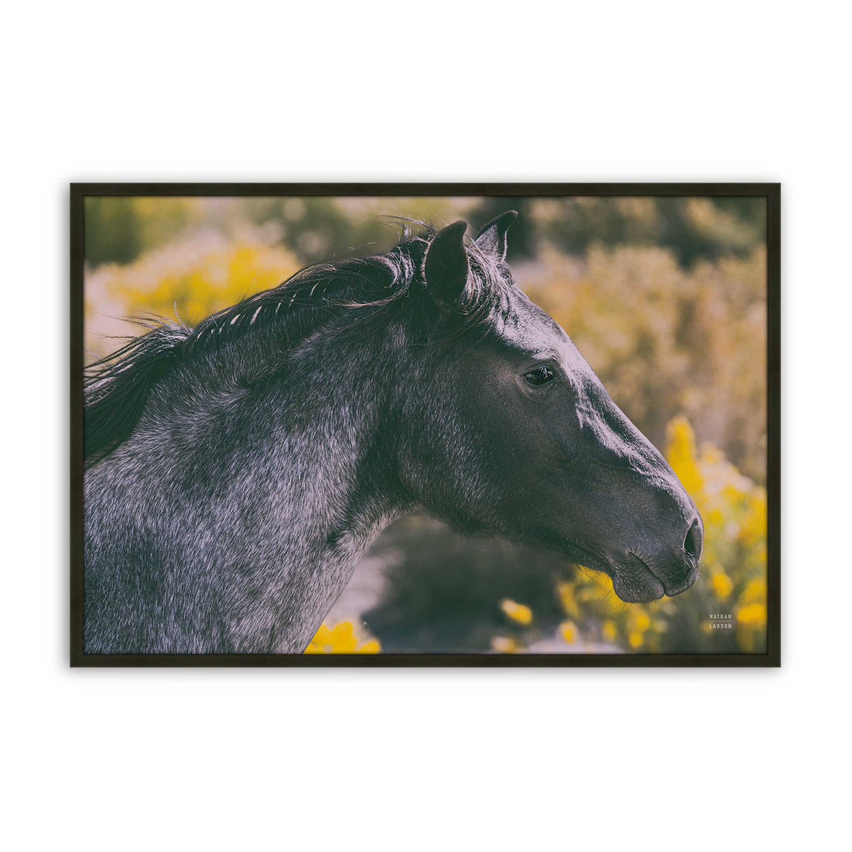 [Color:Satin Black], Picture of art in a Satin Black frame