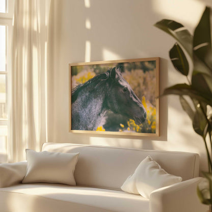 Picture of art in a room