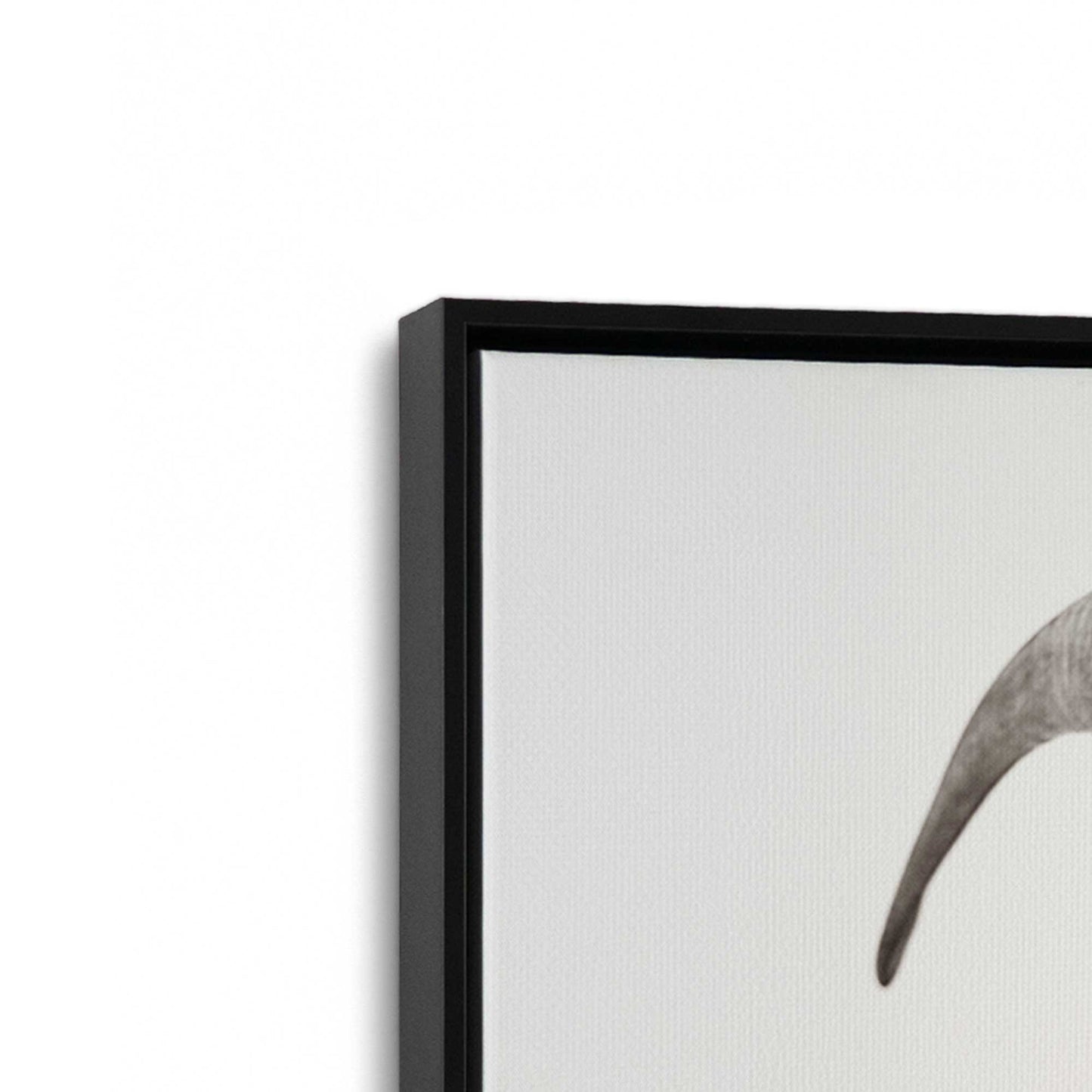 [Color:Satin Black], Picture of art in a Satin Black frame at an angle