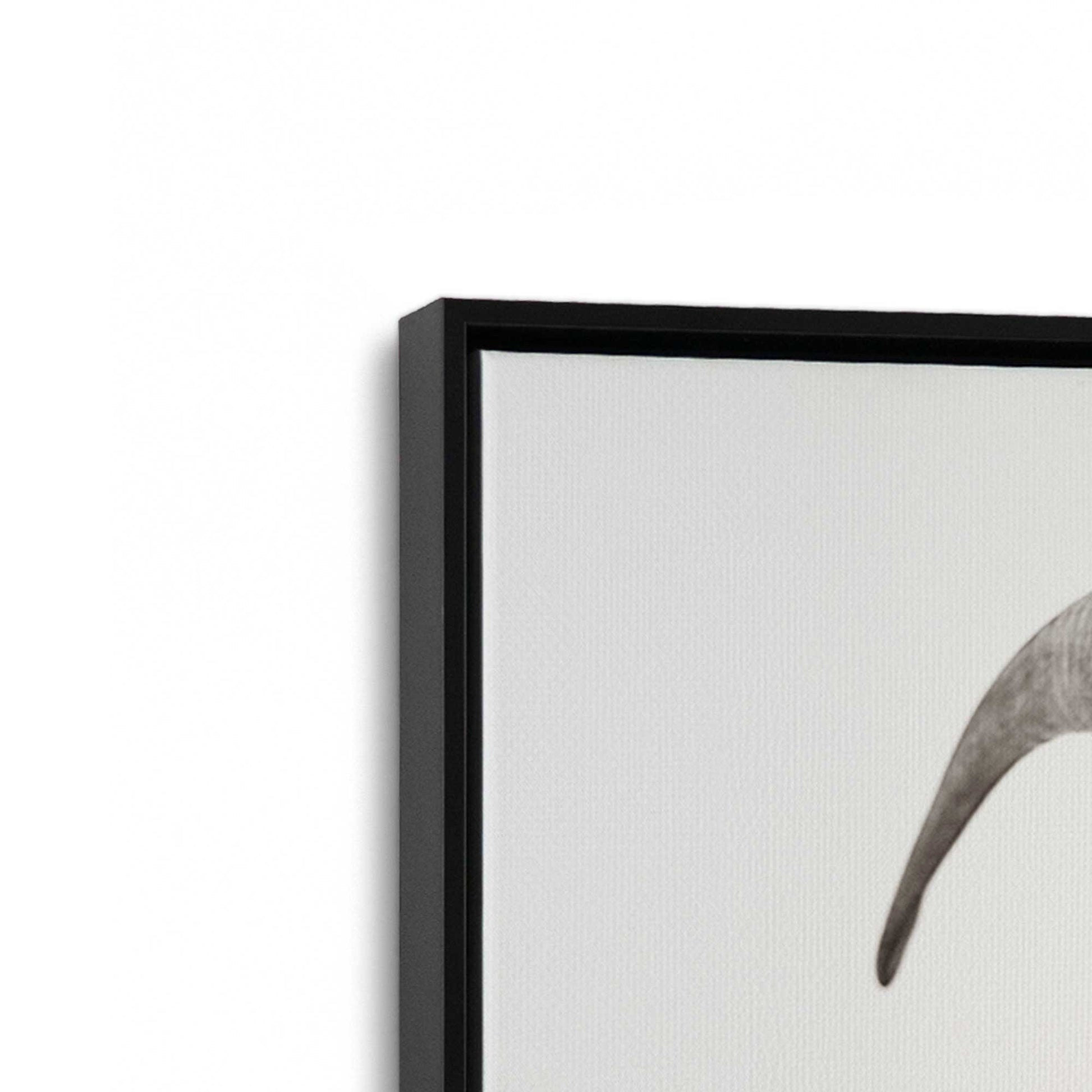 [Color:Satin Black], Picture of art in a Satin Black frame at an angle