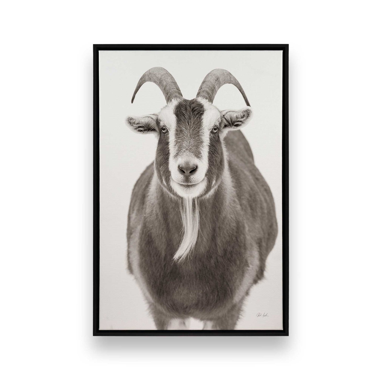 [Color:Satin Black], Picture of art in a Satin Black frame