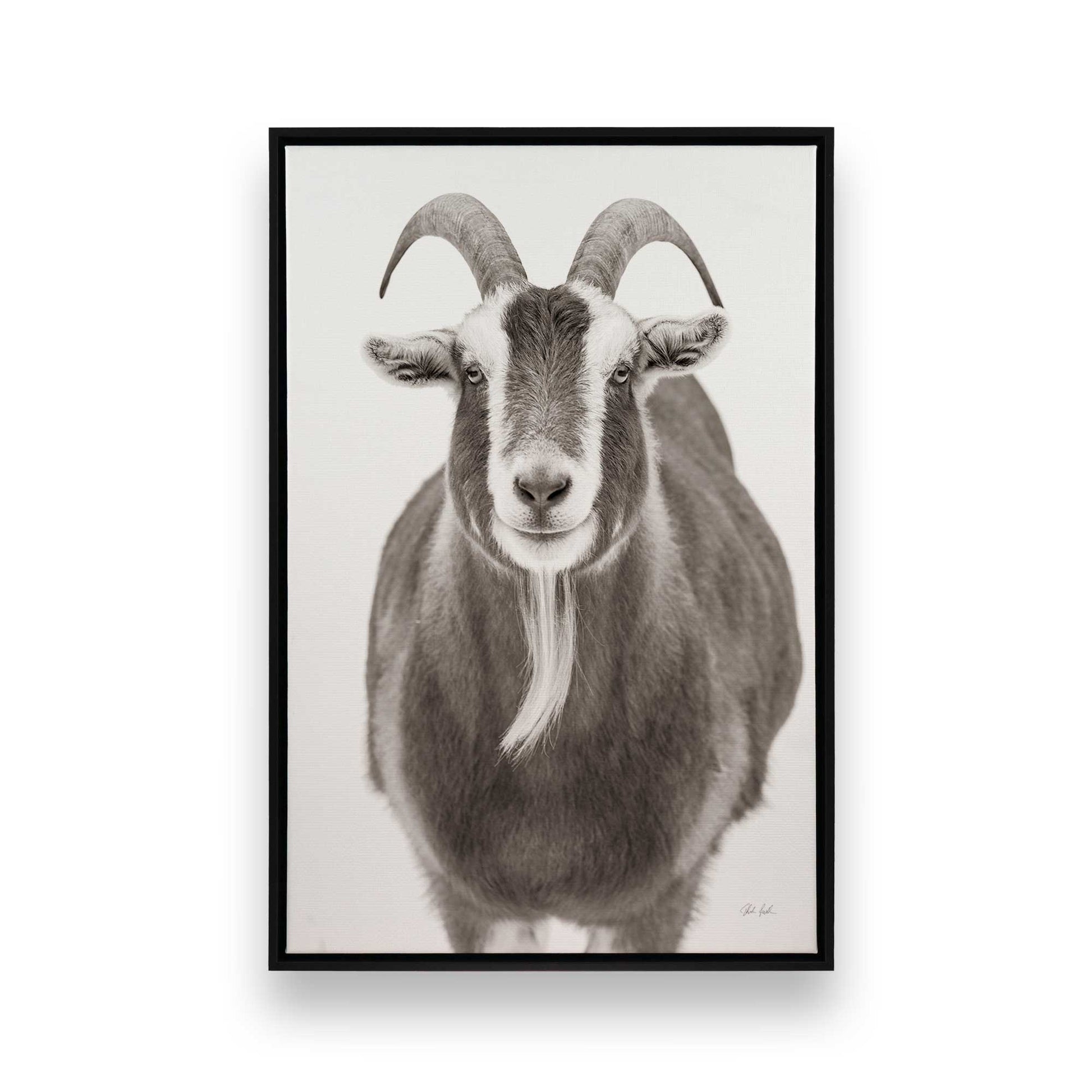 [Color:Satin Black], Picture of art in a Satin Black frame
