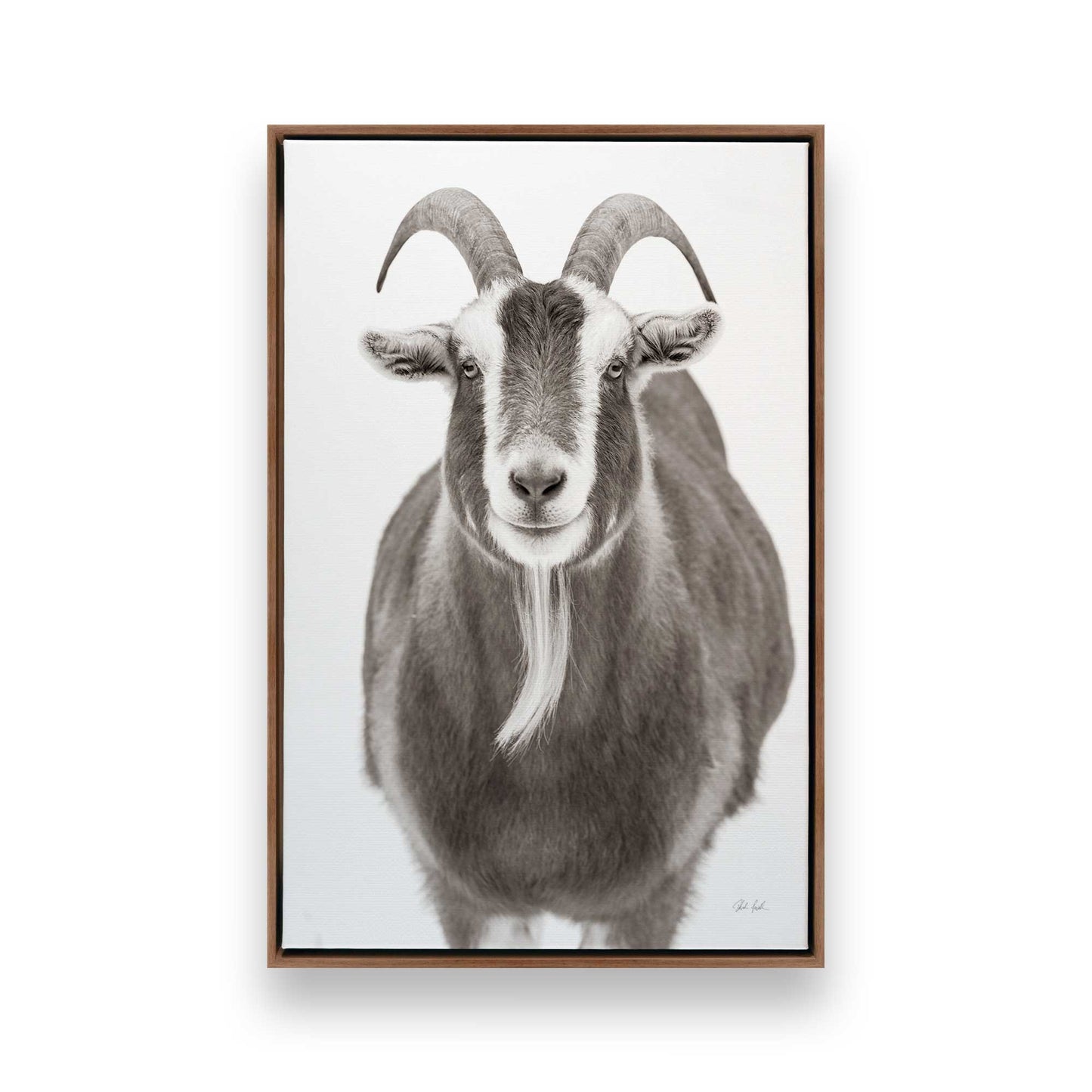 [Color:Walnut], Picture of art in a Walnut frame