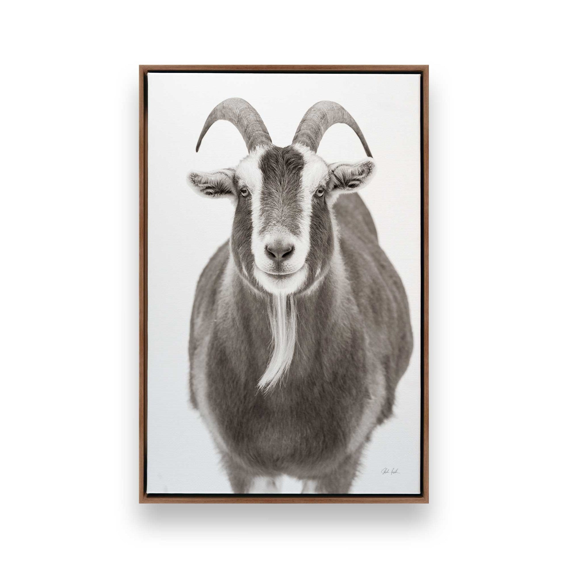 [Color:Walnut], Picture of art in a Walnut frame