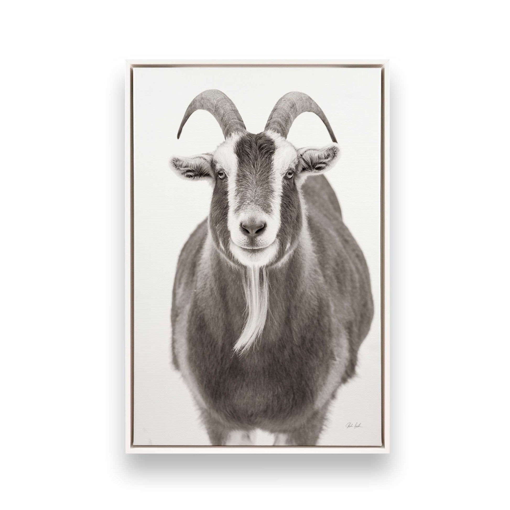 [Color:Opaque White], Picture of art in a White frame