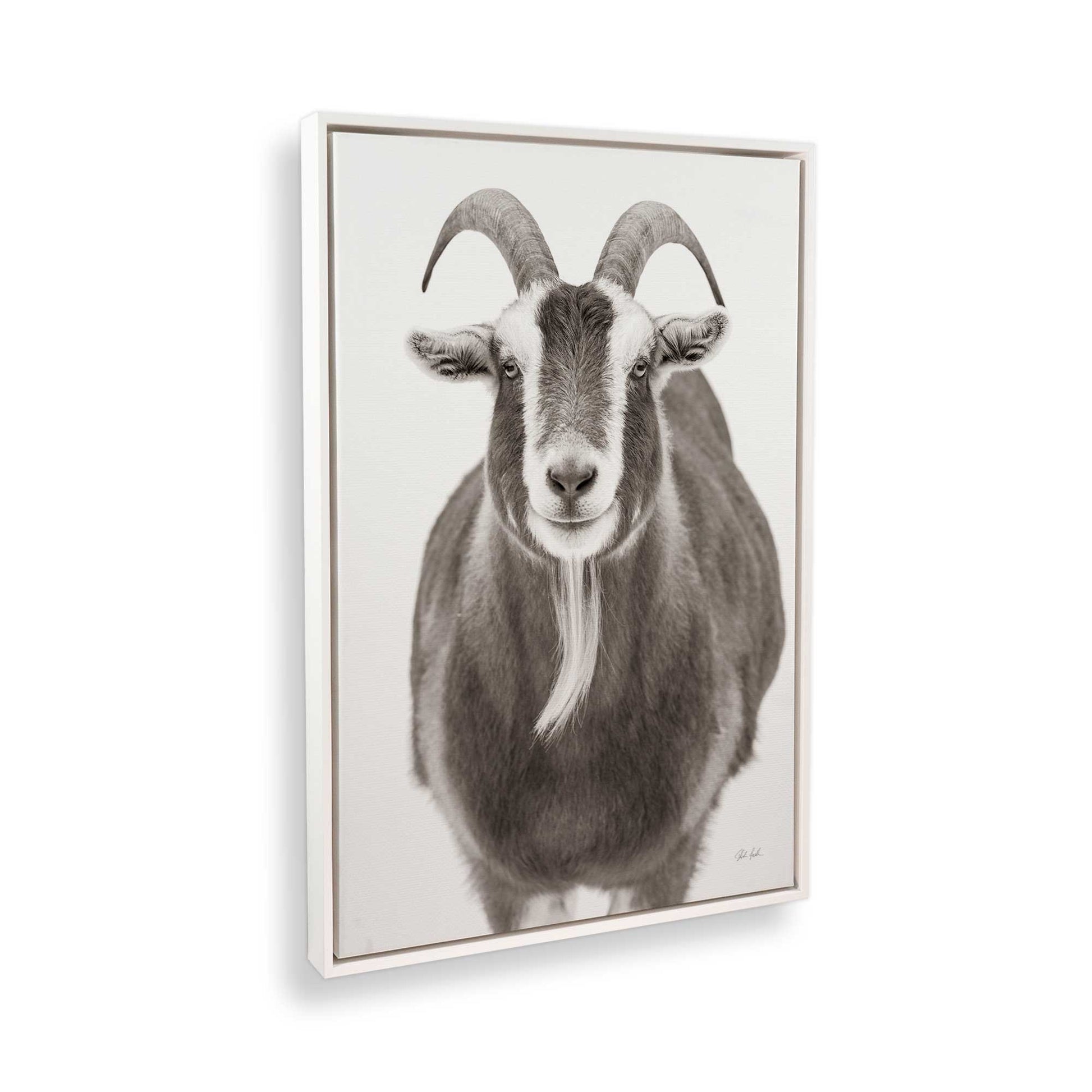 [Color:Opaque White], Picture of the corner of the art
