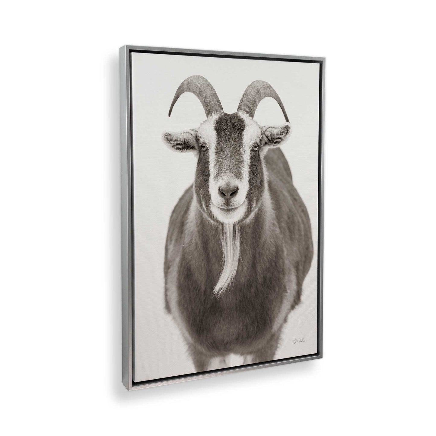 [Color:Polished Chrome], Picture of the corner of the art