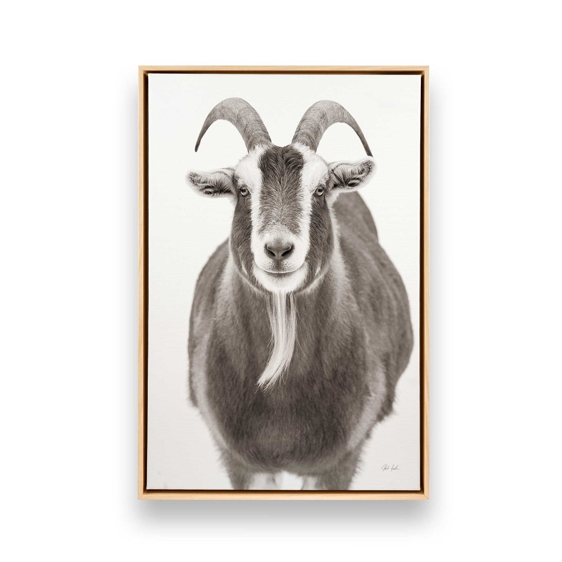 [Color:American Maple], Picture of art in a American Maple frame