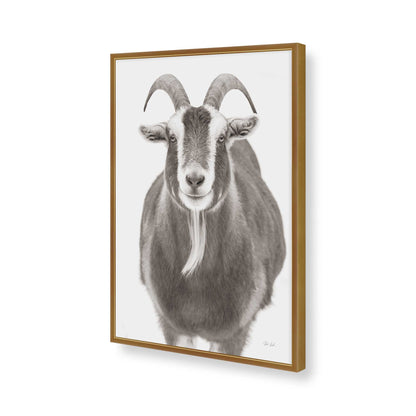 [Color:Polished Gold], Picture of art in a Polished Gold frame of the corner