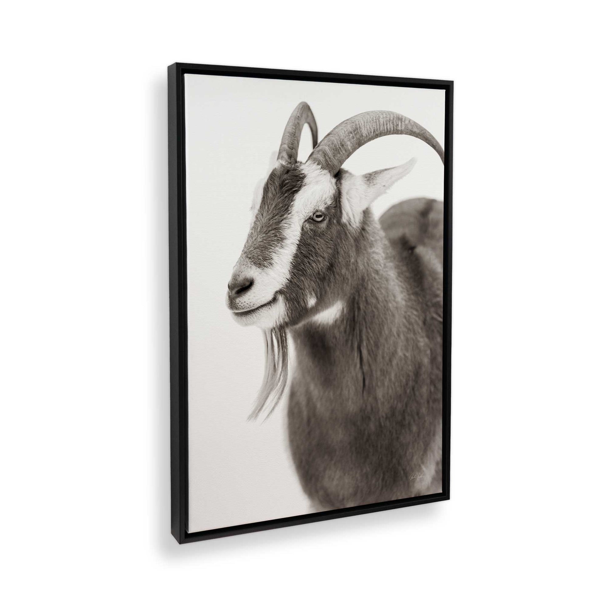 [Color:Satin Black], Picture of the corner of the art