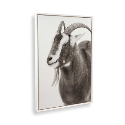 [Color:Opaque White], Picture of the corner of the art