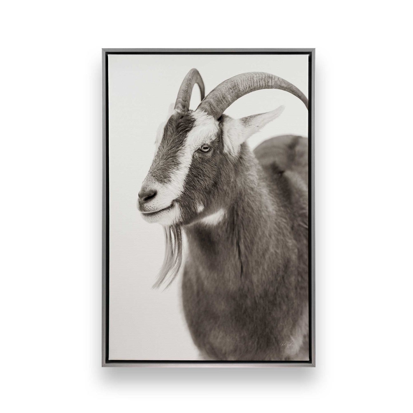 [Color:Polished Chrome], Picture of art in a Polished Chrome frame
