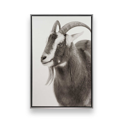[Color:Polished Chrome], Picture of art in a Polished Chrome frame