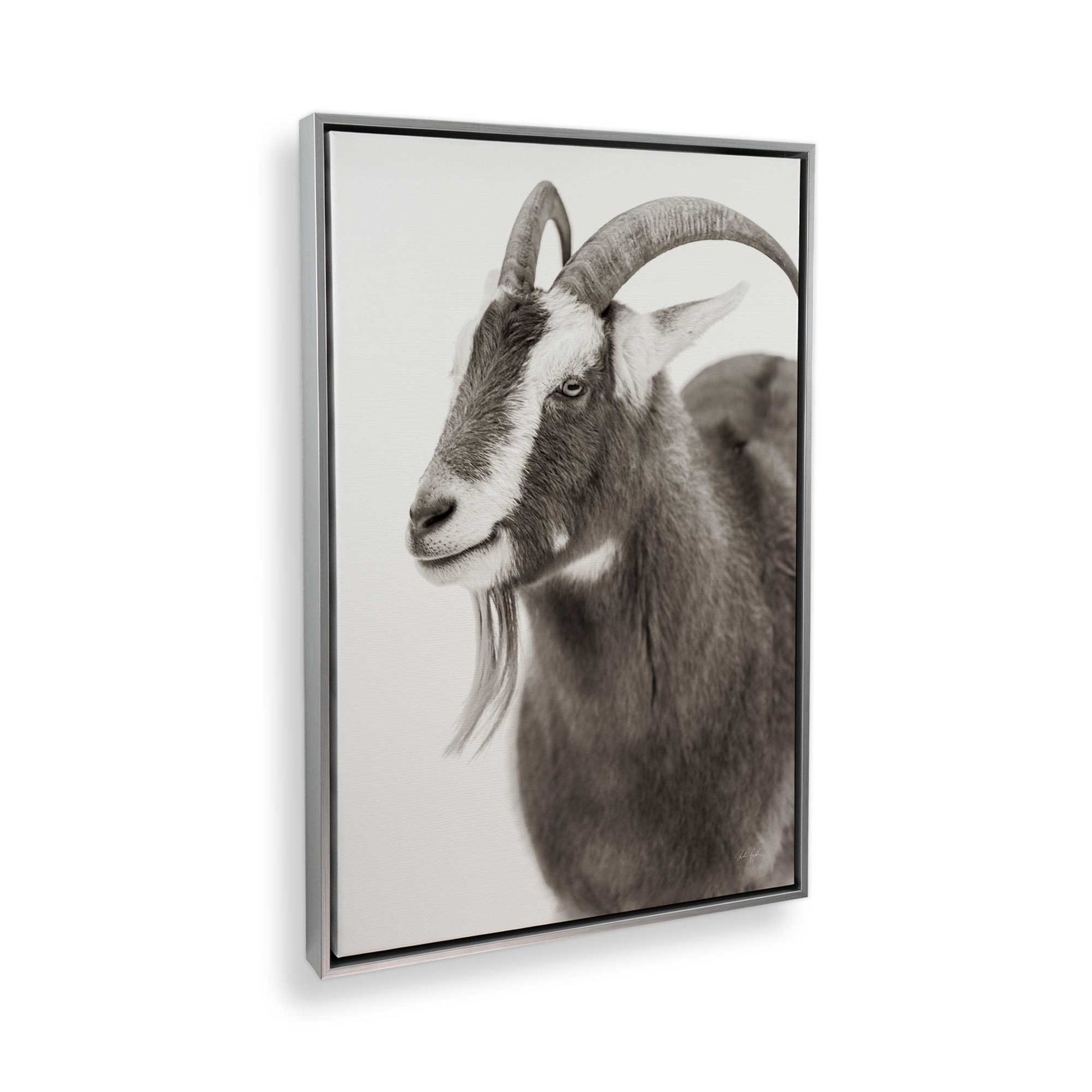 [Color:Polished Chrome], Picture of the corner of the art