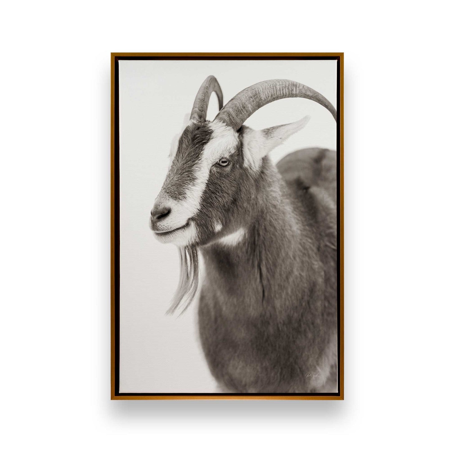 [Color:Polished Gold], Picture of art in a Polished Gold frame