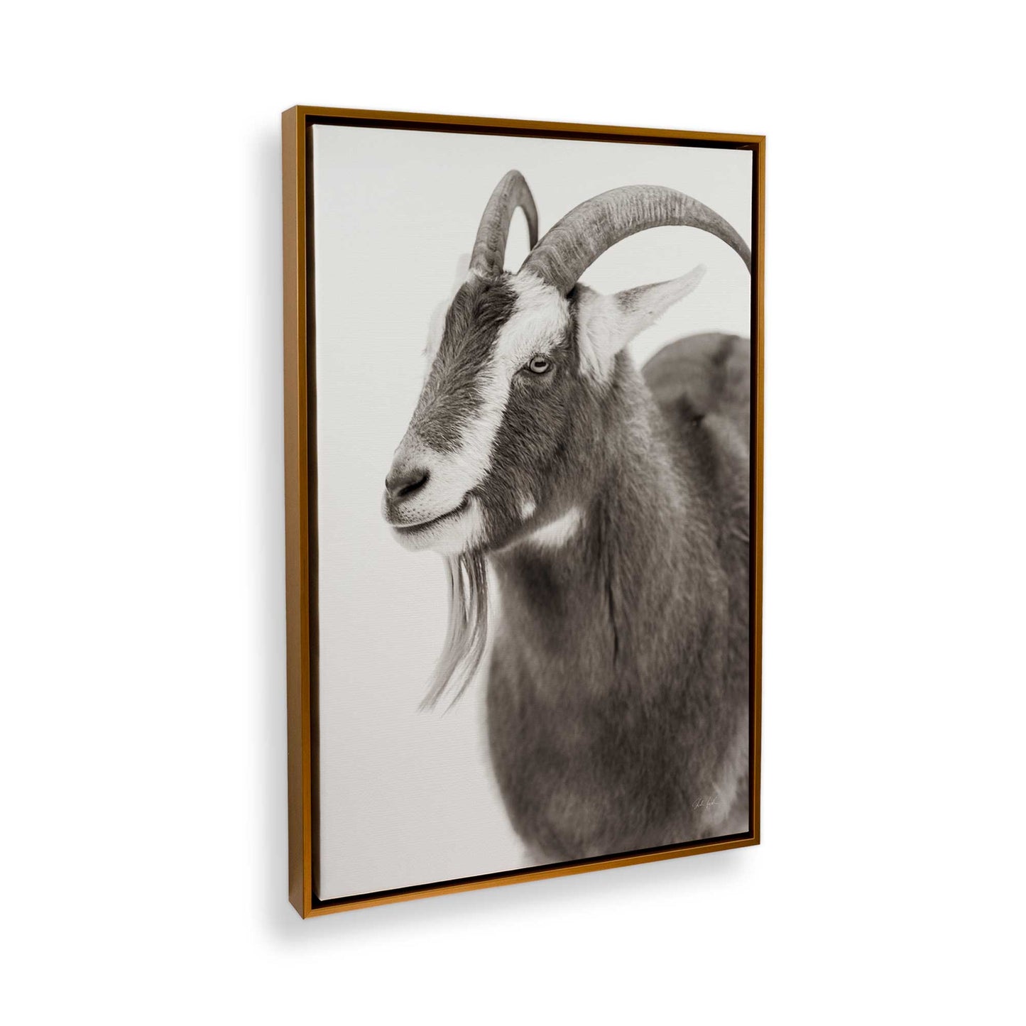 [Color:Polished Gold], Picture of the corner of the art