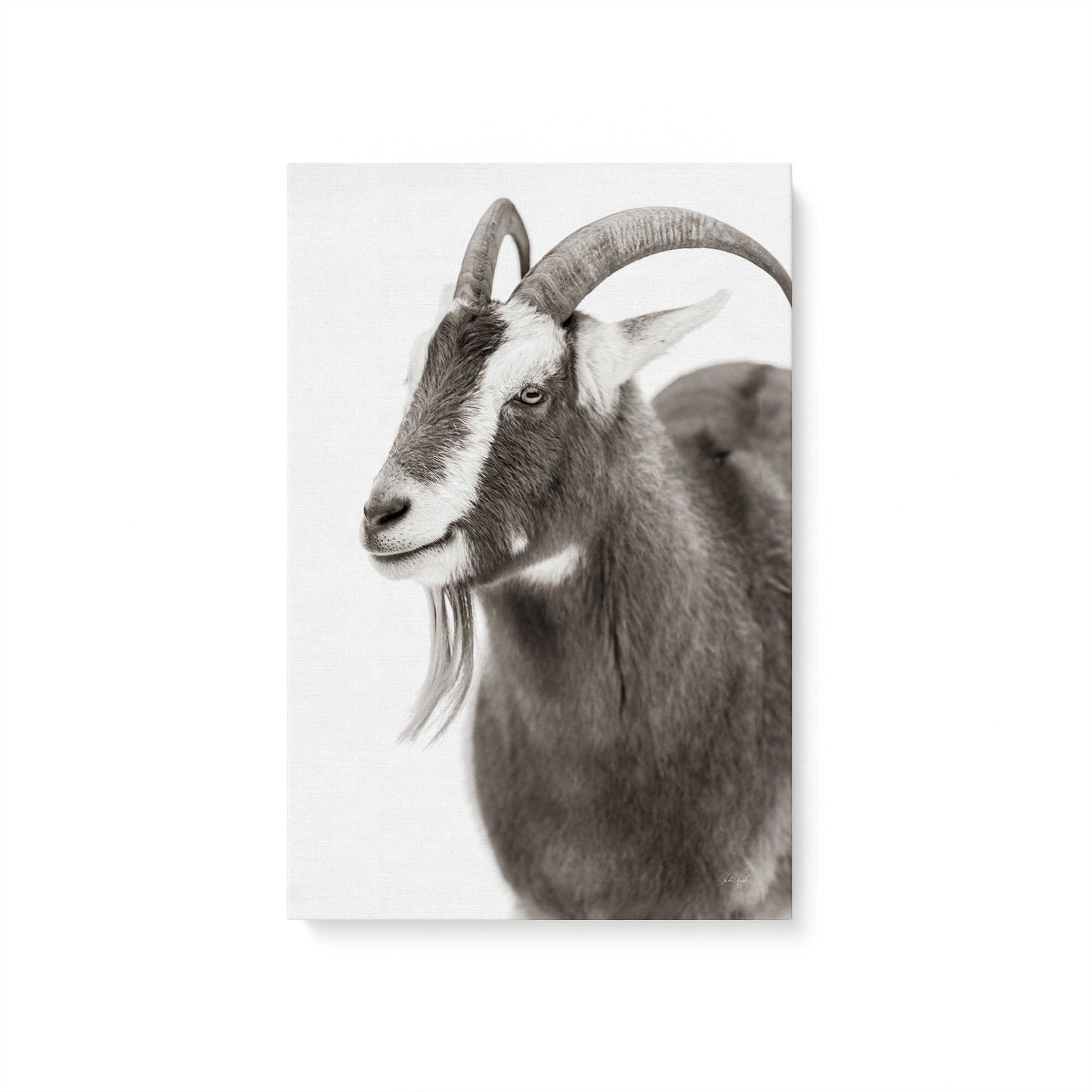 [Color:Stretched Canvas], Picture of art