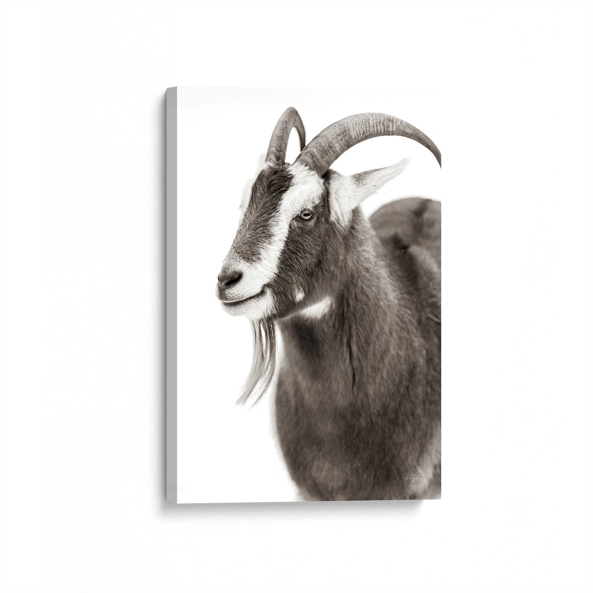 [Color:Stretched Canvas], Picture of art at an angle
