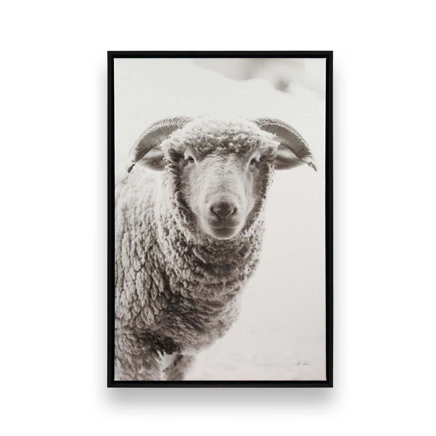 [Color:Satin Black], Picture of art in a Satin Black frame