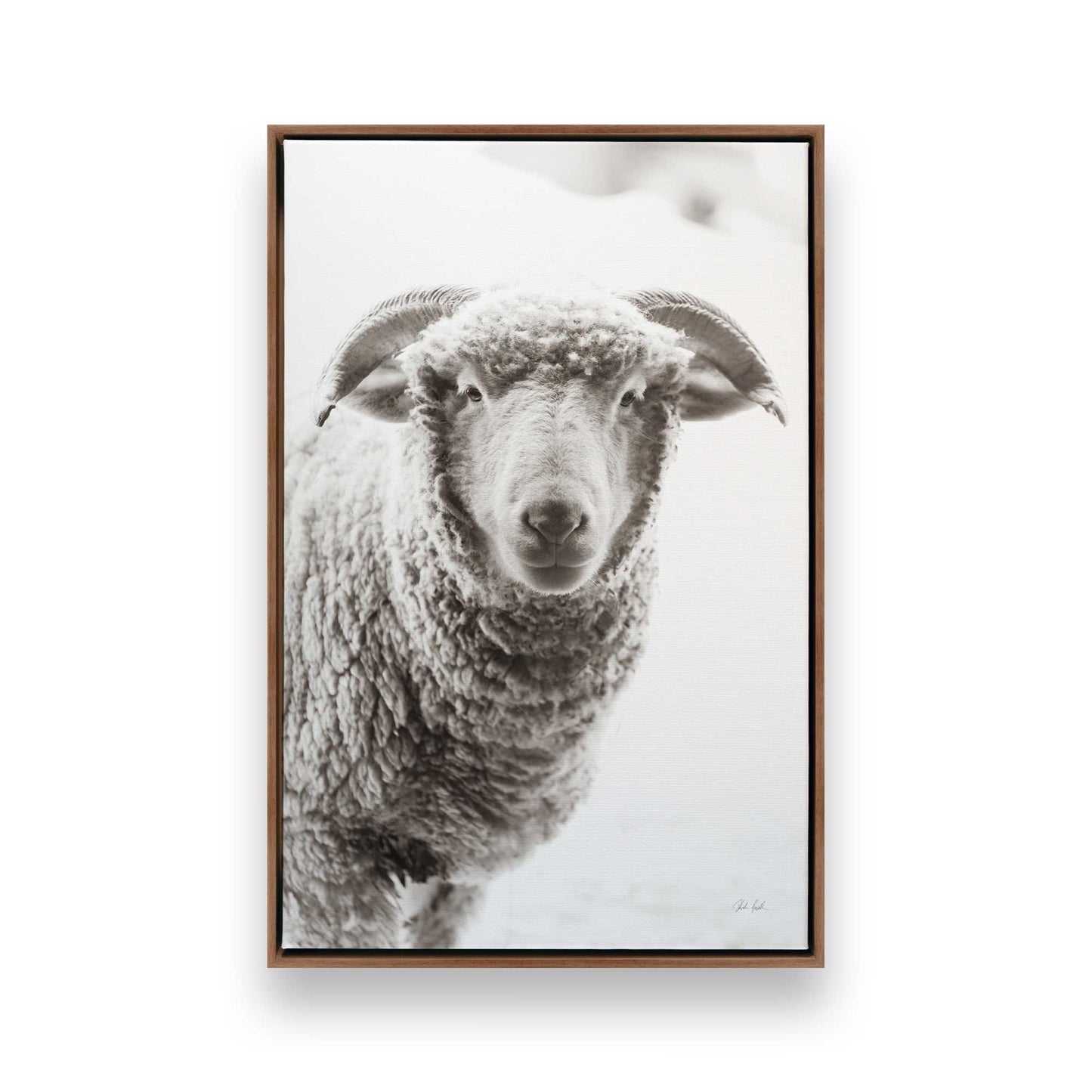 [Color:Walnut], Picture of art in a Walnut frame