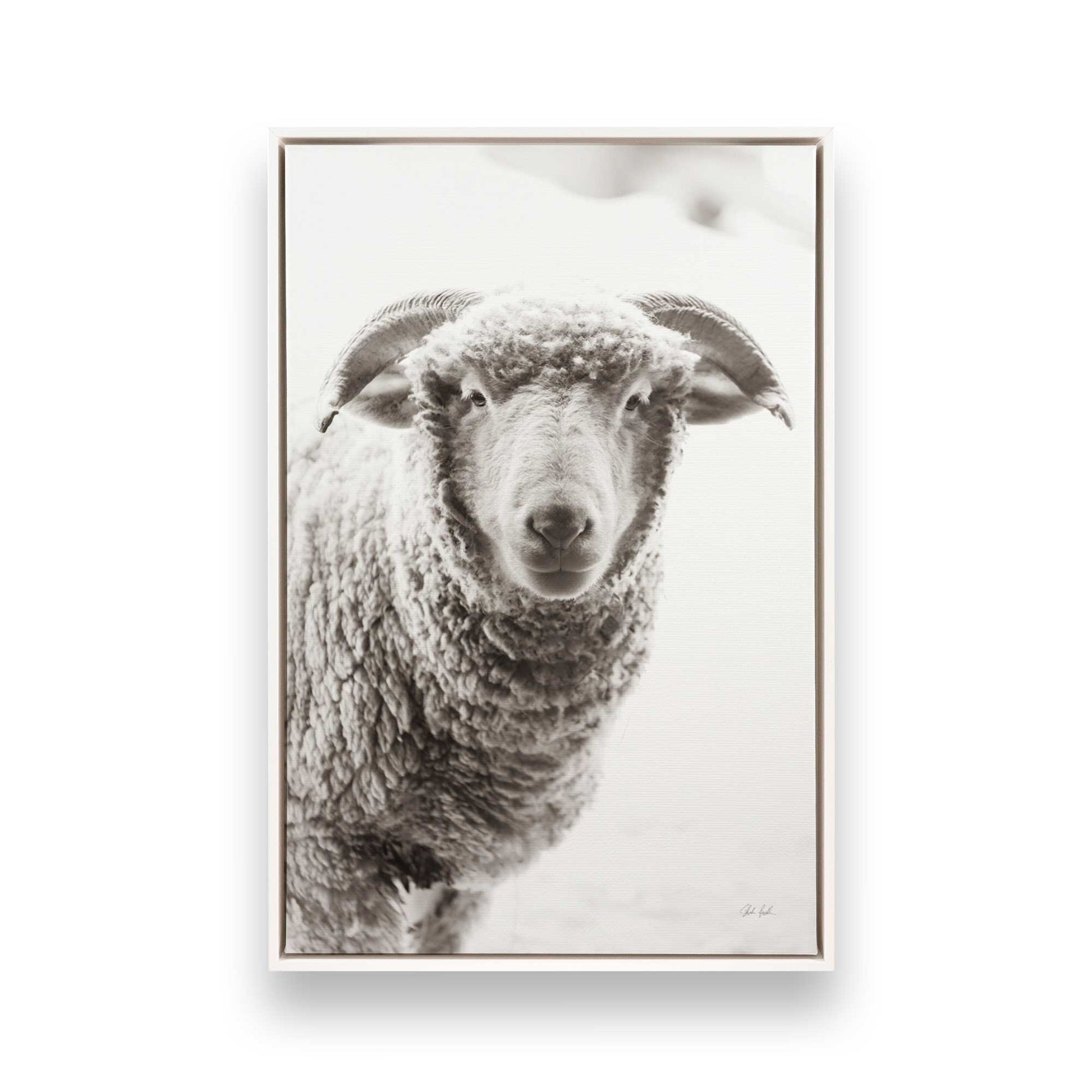 [Color:Opaque White], Picture of art in a White frame