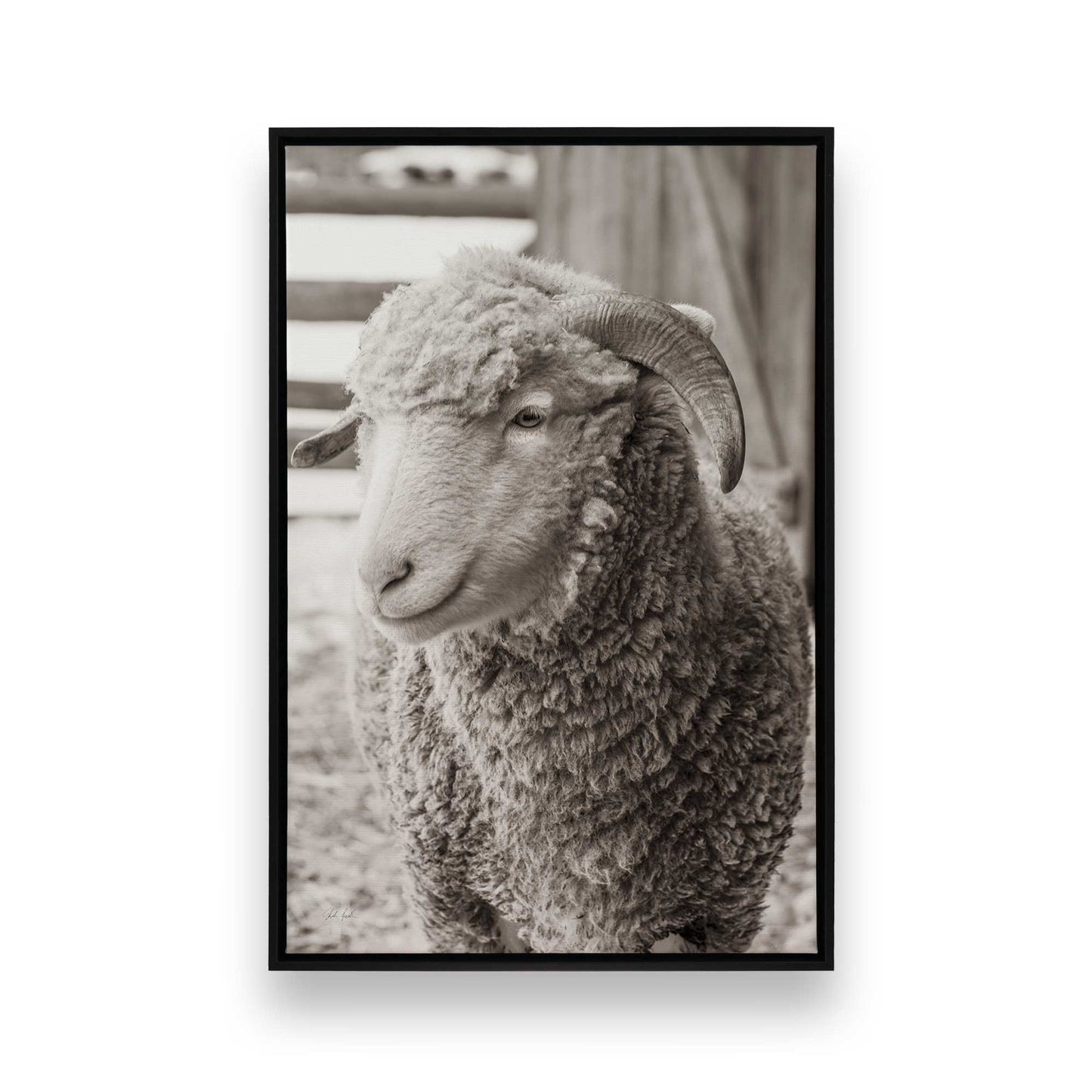 [Color:Satin Black], Picture of art in a Satin Black frame