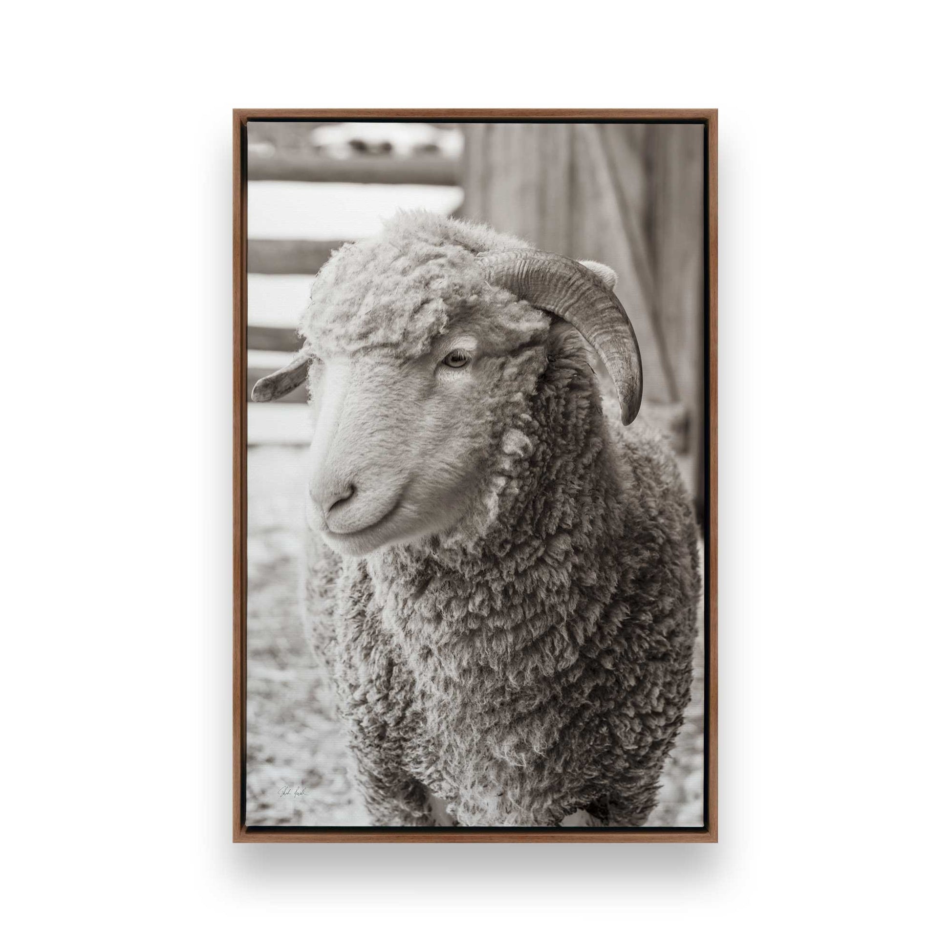 [Color:Walnut], Picture of art in a Walnut frame