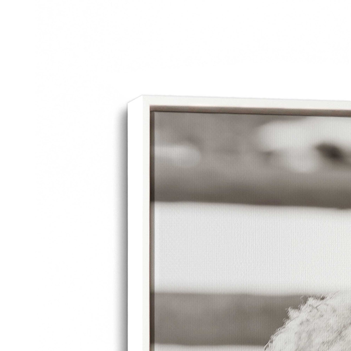 [Color:Opaque White], Picture of art in a White frame at an angle