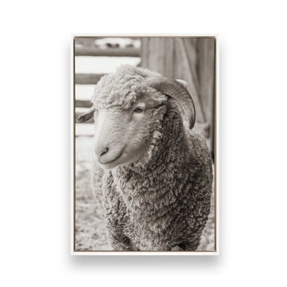 [Color:Opaque White], Picture of art in a White frame