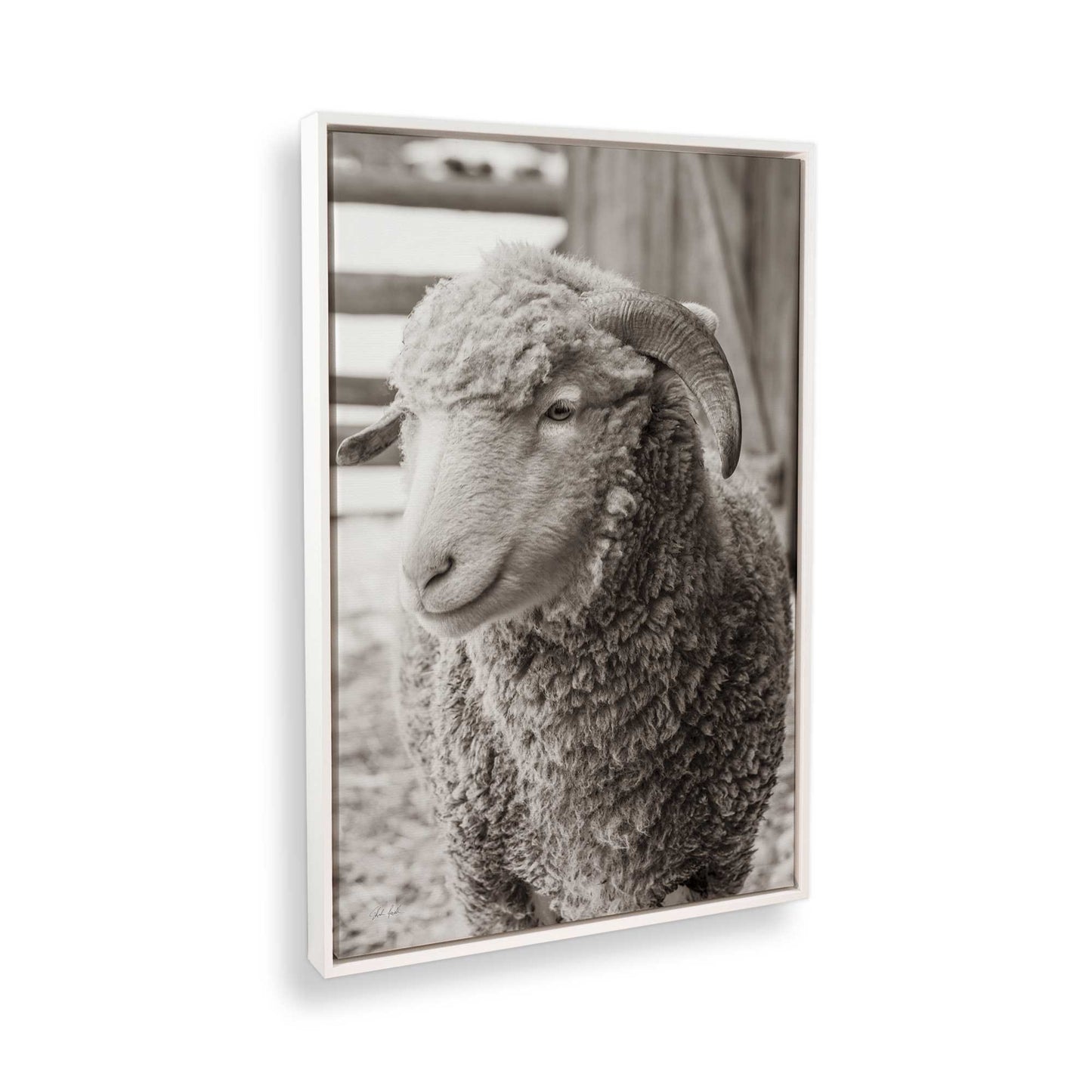 [Color:Opaque White], Picture of the corner of the art