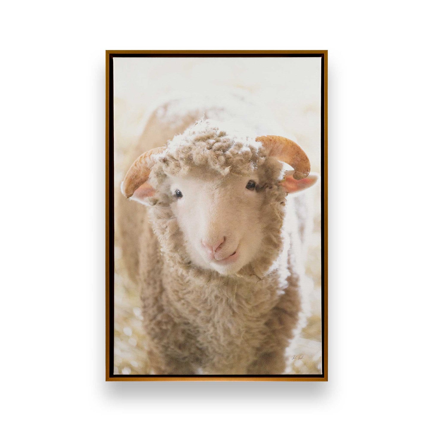 [Color:Polished Gold], Picture of art in a Polished Gold frame