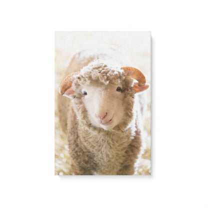 [Color:Stretched Canvas], Picture of art