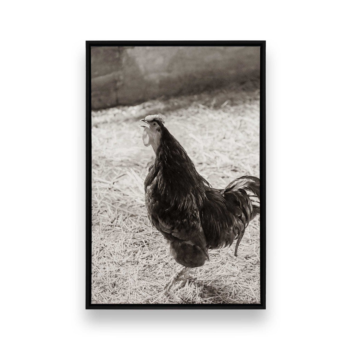 [Color:Satin Black], Picture of art in a Satin Black frame