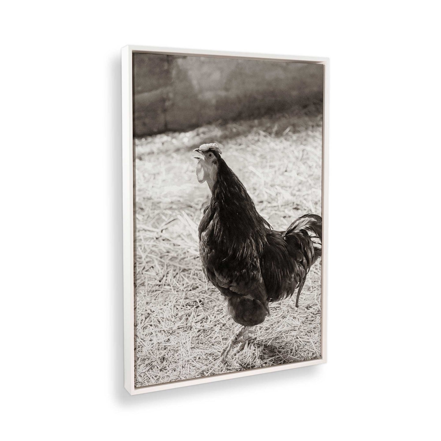 [Color:Opaque White], Picture of the corner of the art