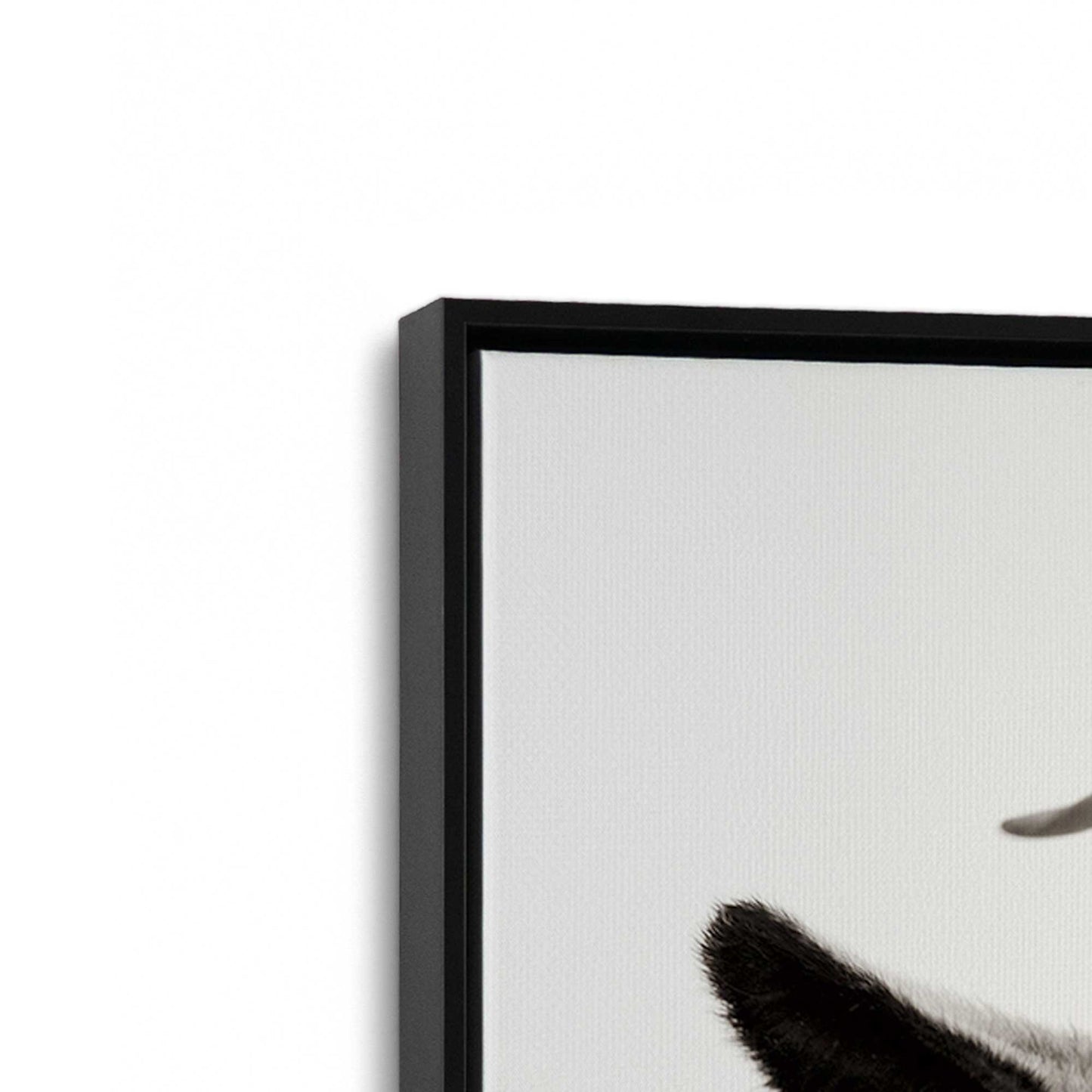 [Color:Satin Black], Picture of art in a Satin Black frame at an angle