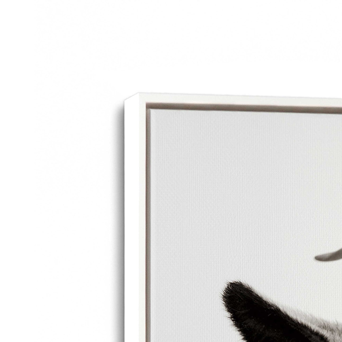 [Color:Opaque White], Picture of art in a White frame at an angle