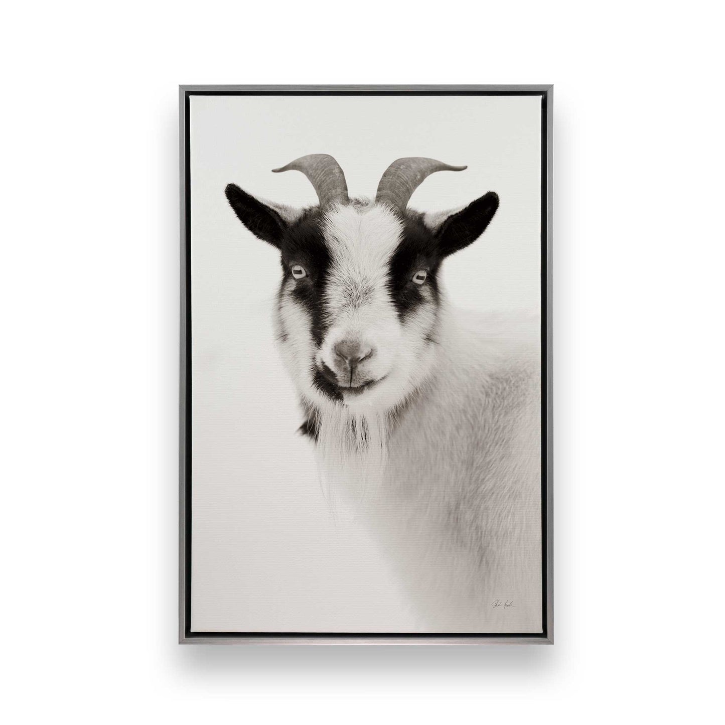[Color:Polished Chrome], Picture of art in a Polished Chrome frame