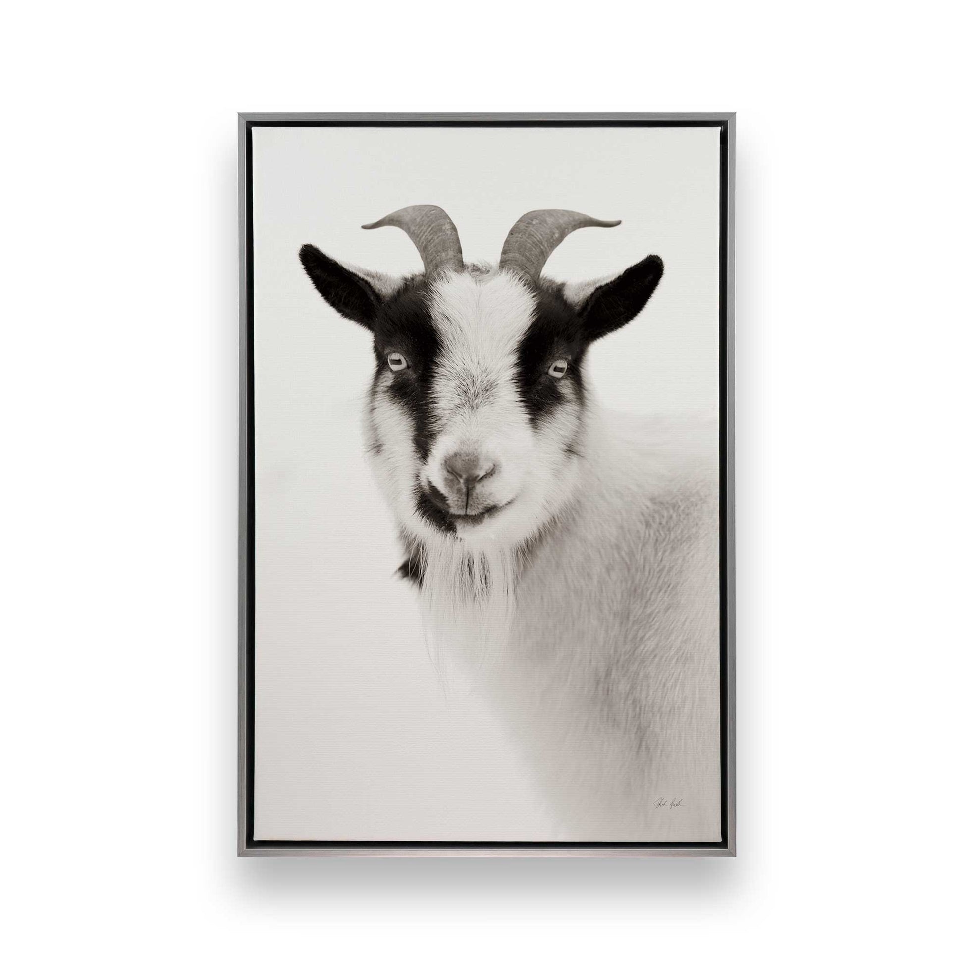 [Color:Polished Chrome], Picture of art in a Polished Chrome frame