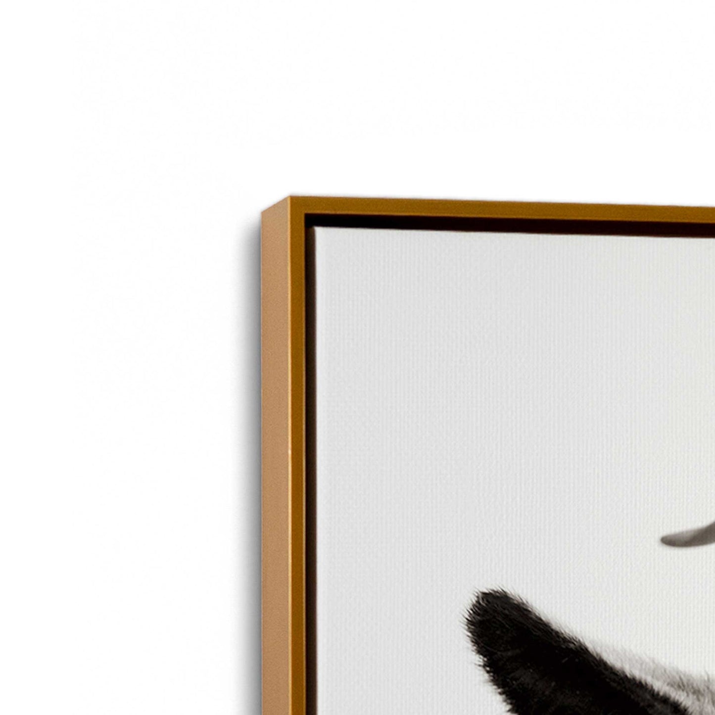 [Color:Polished Gold], Picture of art in a Polished Gold frame at an angle
