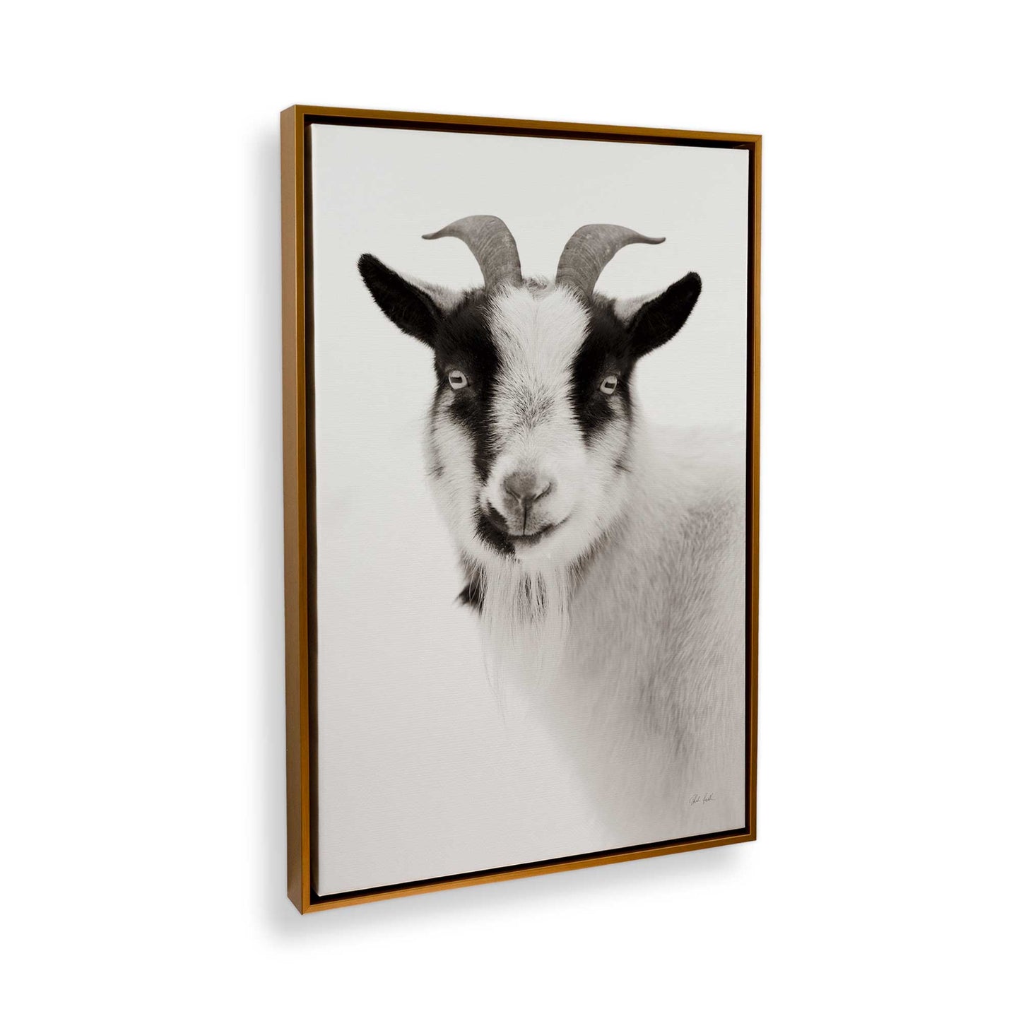 [Color:Polished Gold], Picture of the corner of the art